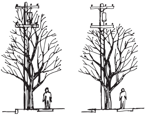 Crown Reduction